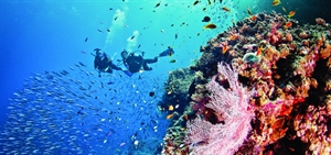 Silversea creates 20 Scuba Diving Expedition Voyages for 2016-2017